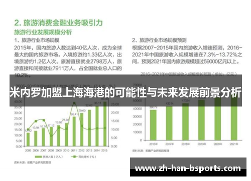 米内罗加盟上海海港的可能性与未来发展前景分析