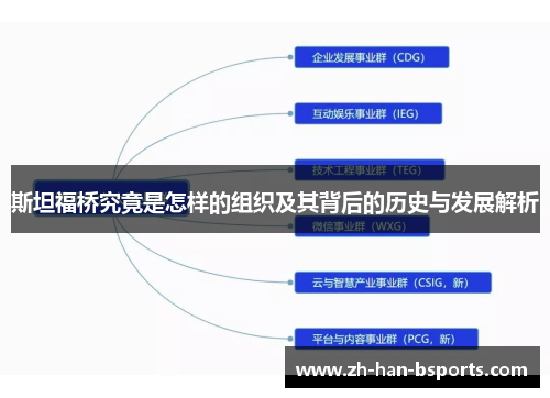 斯坦福桥究竟是怎样的组织及其背后的历史与发展解析